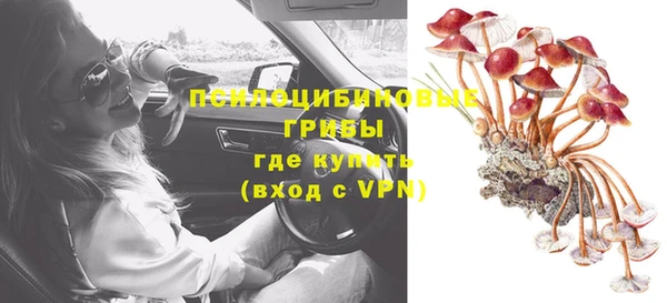 дживик Баксан