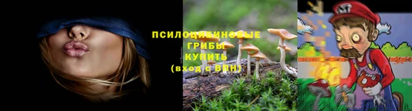 а пвп мука Балабаново