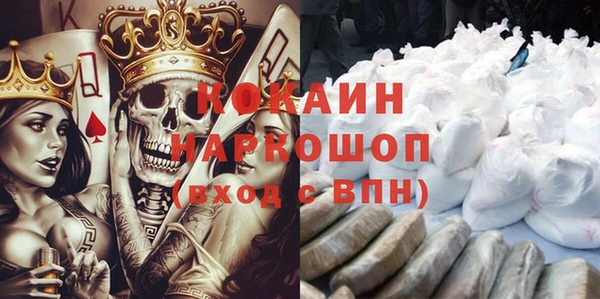 шишки Беломорск