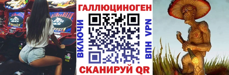 как найти закладки  Красный Холм  Псилоцибиновые грибы Psilocybe 